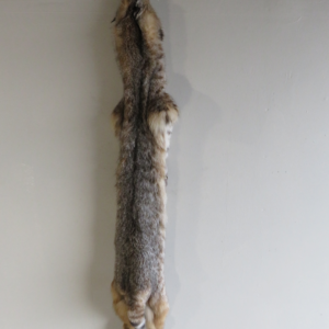 Bobcat Taxidermy Fur Cb-104 - The Taxi Dermy Mounts